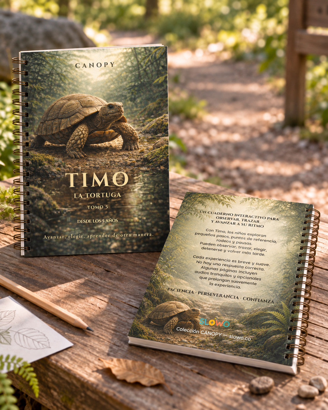Carnet CANOPY — Timo la tortue — édition espagnol