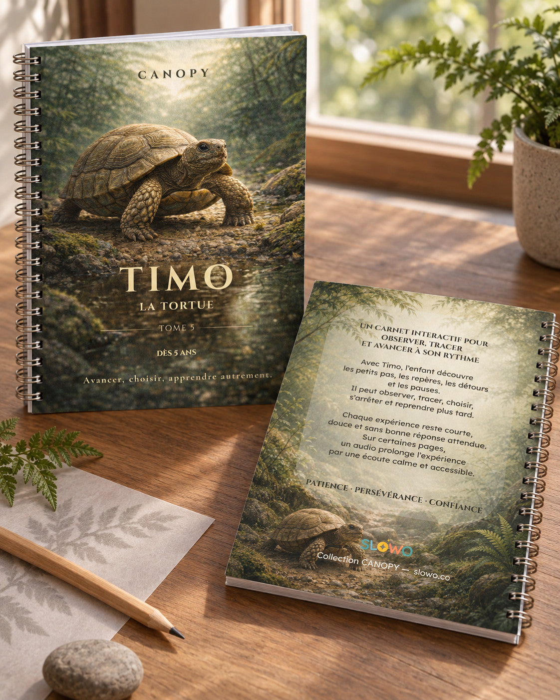 Carnet CANOPY — Timo la tortue — édition français