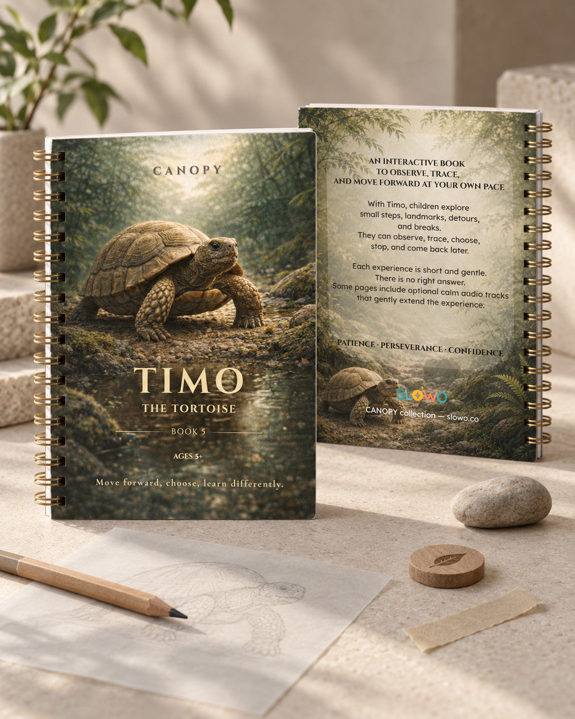 Carnet CANOPY — Timo la tortue — édition anglais