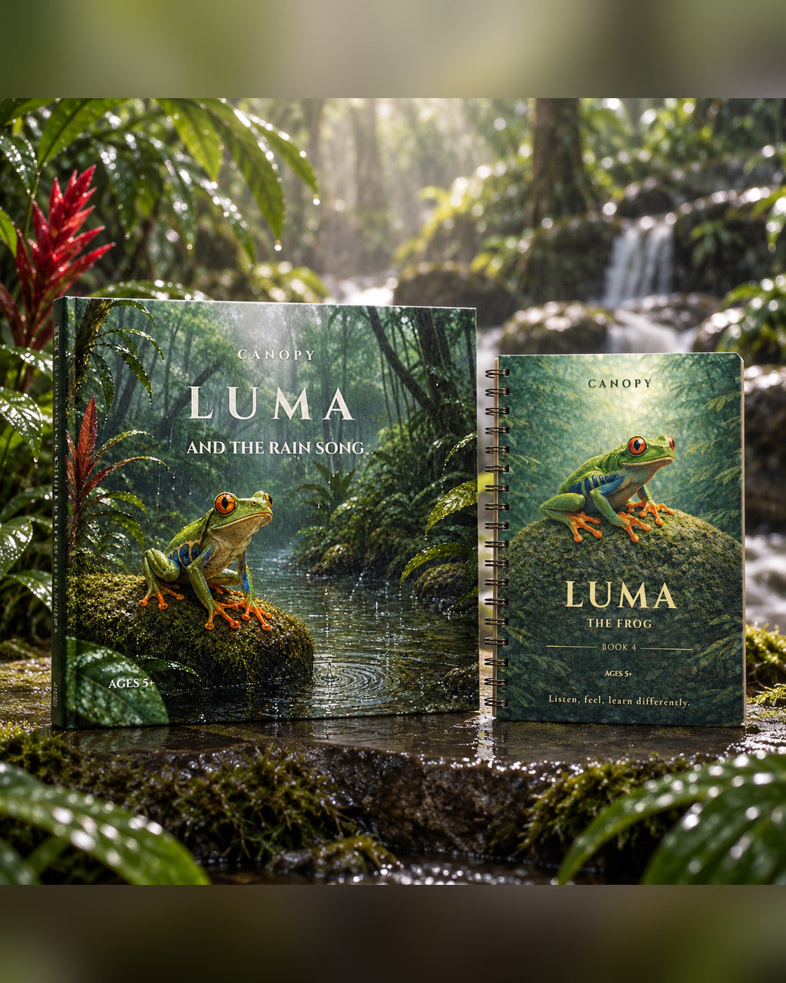 Coffret CANOPY Luma — Livre + Carnet — édition anglais